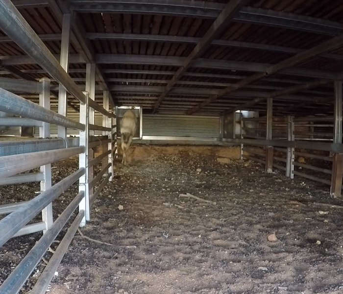 Modular Shearing Shed Fit Out- Doodlakine