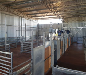 Modular Shearing Shed Fit Out- Doodlakine