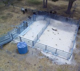Cattle Yards- Small