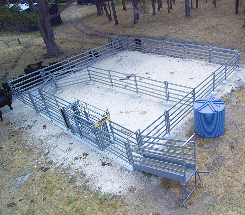Cattle Yards- Small