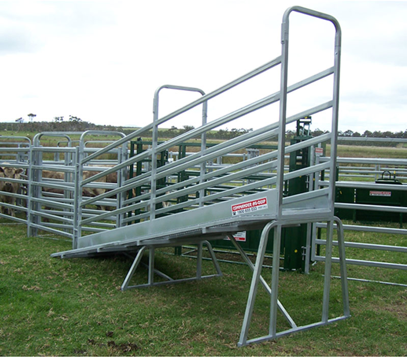 Cattle loading ramp- 4.8m