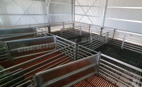 Sloped Catching Pens