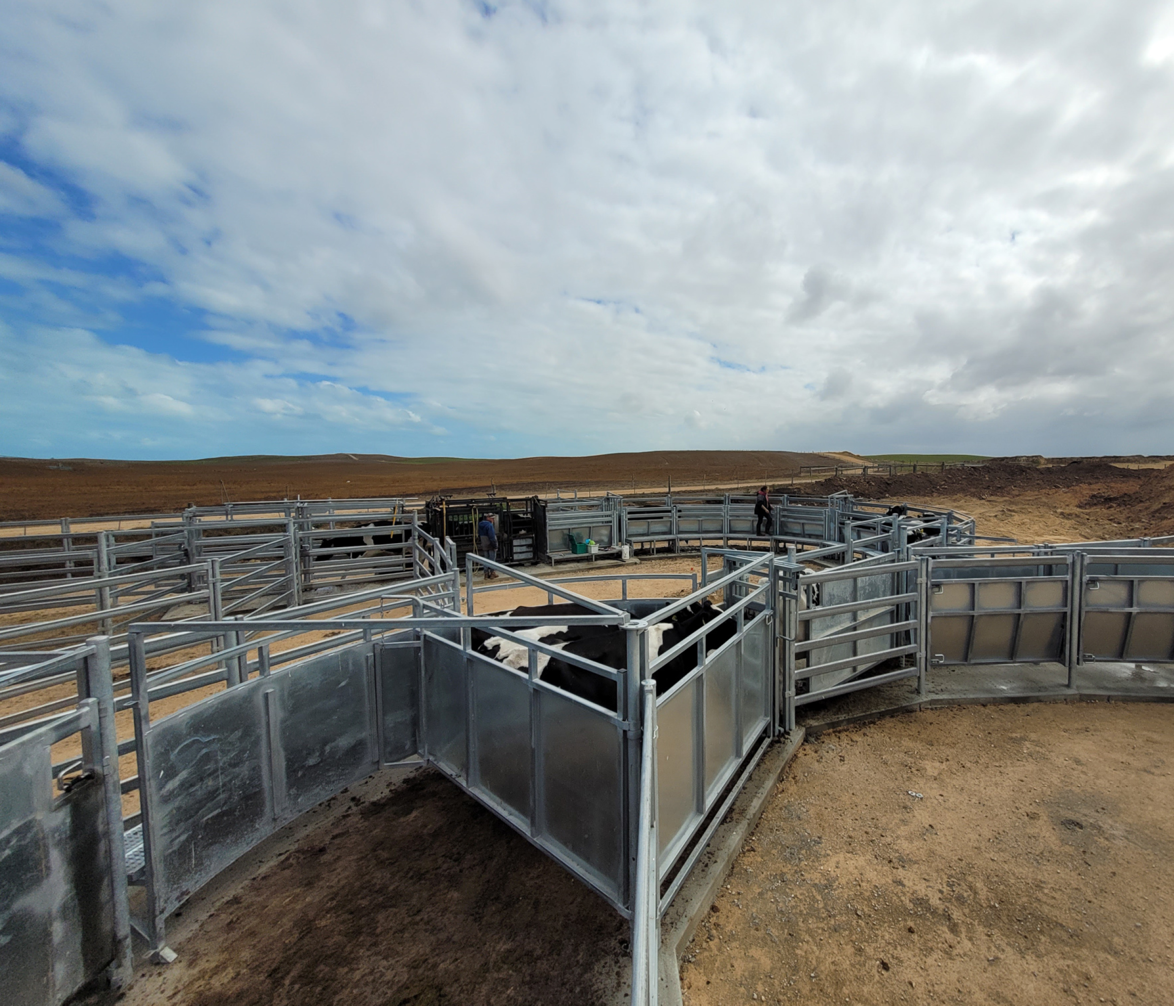 Cattle Yards – Meningie SA