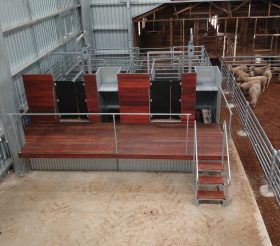 Modular Shearing Stand