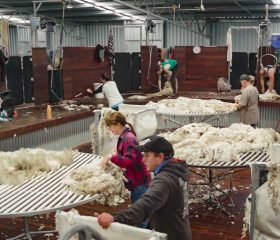 Shearing Shed Fit Out- Lal Lal Estate, Ballarat VIC