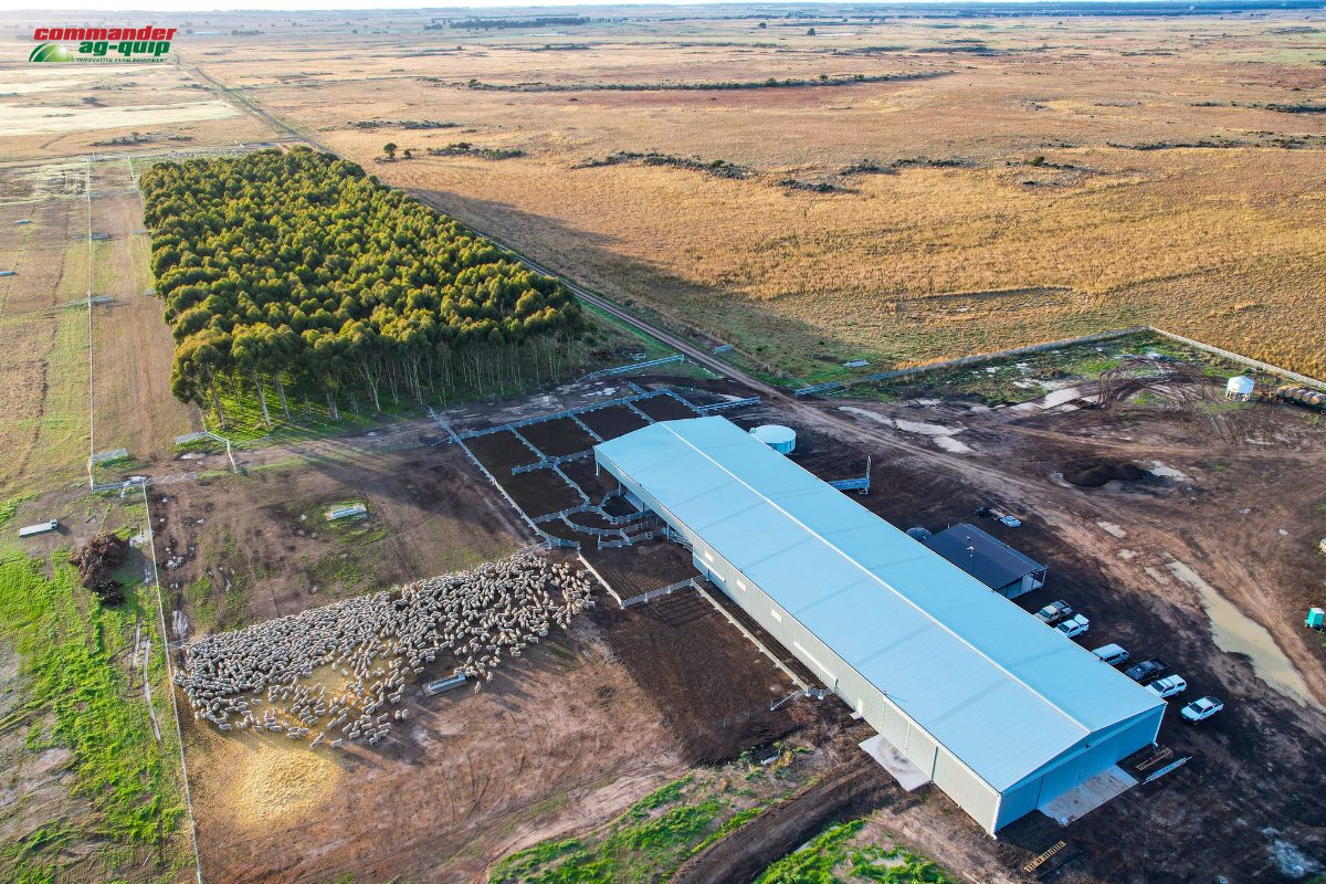 Banongil South Sheep Handling Complex – Project Case Study